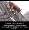 Jak to możliwe???