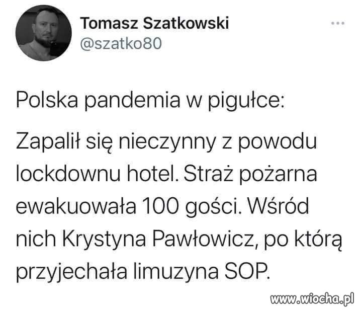 Polska pandemia w pigułce 