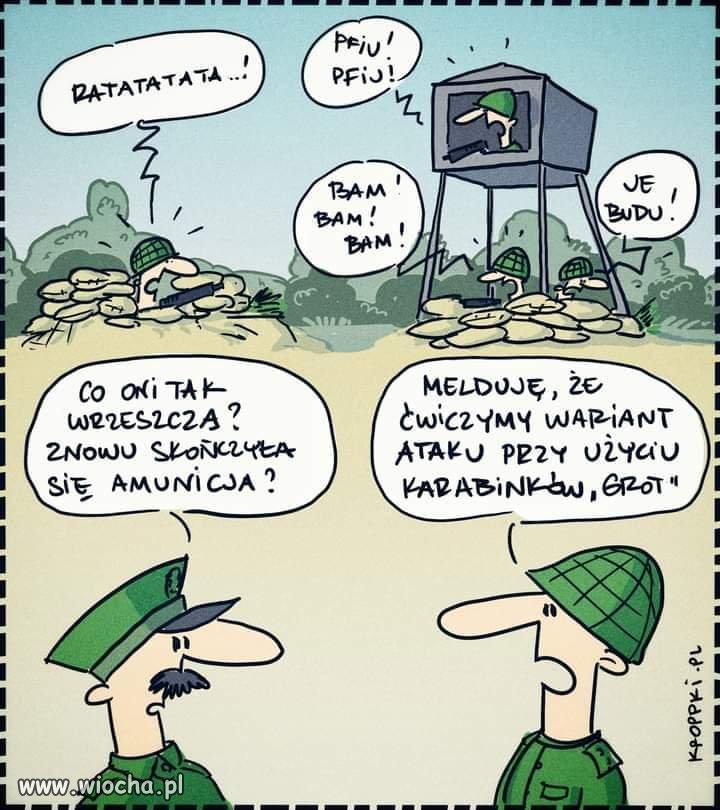 Polska nie potrzebuje broni,