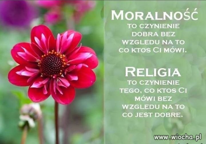 Moralność a