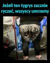 Już się boję 