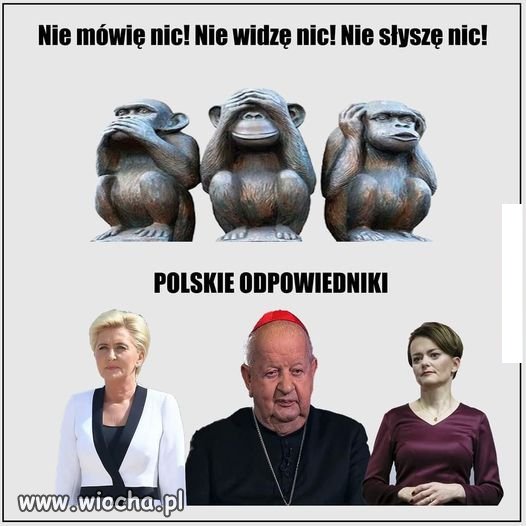 Komisja do spraw pedofili