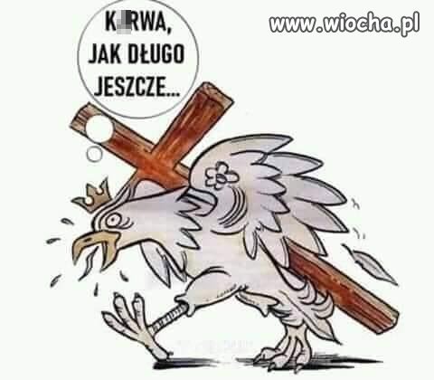 Umęczony orzeł 