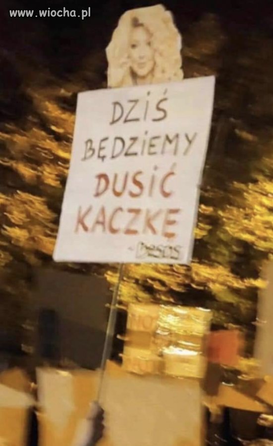 Duszona kaczka