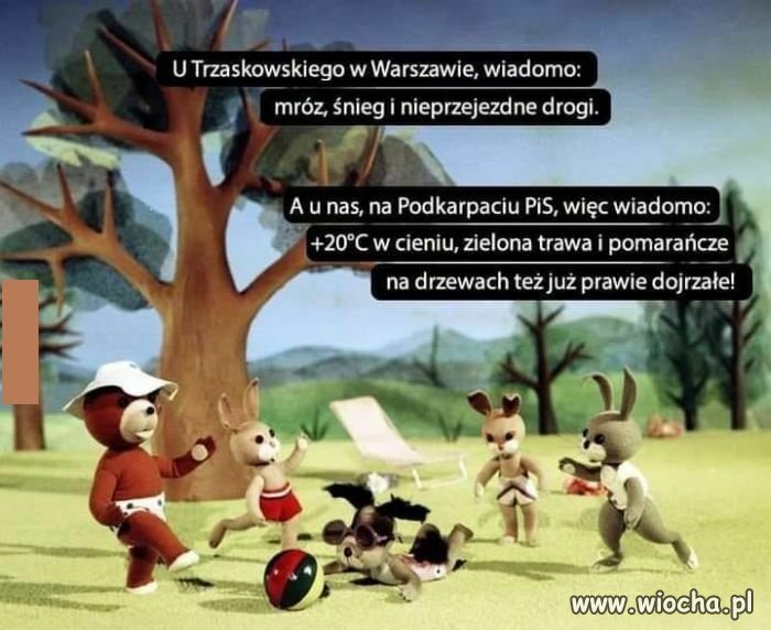 Pisowska pogoda