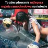 Moje auto wymaga profesjonalnego mycia 