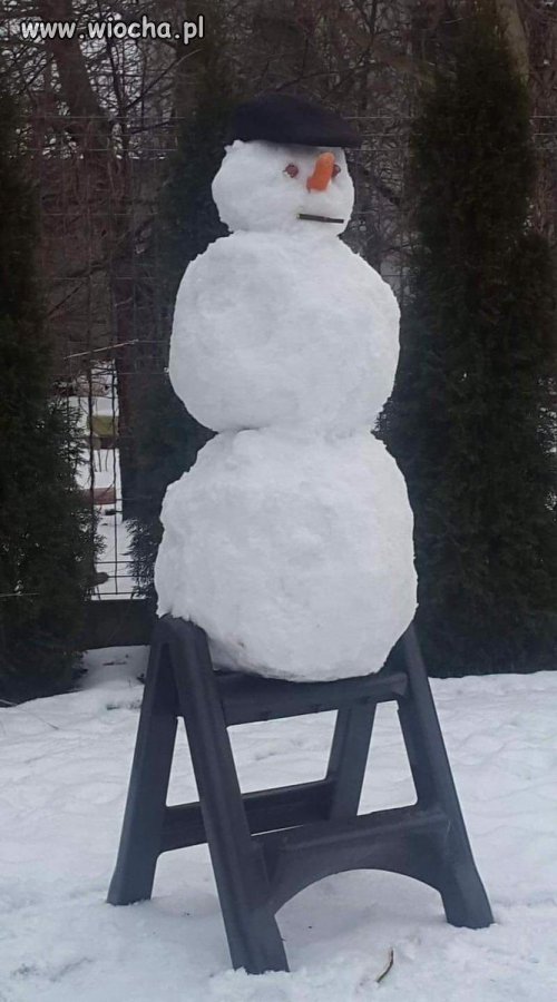 Pomnik za życia