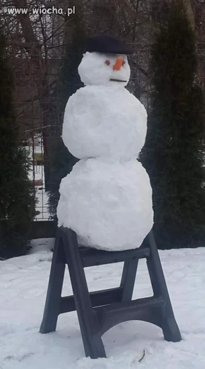 Pomnik za życia