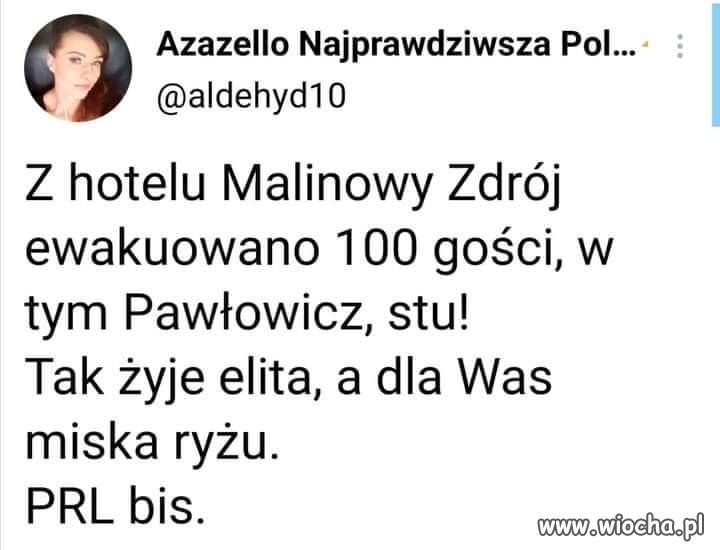 Elita się bawi