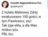 Elita się bawi