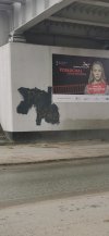 PiS Kat kobiet