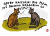 Takie tam... śmieszne rozmowy kotów.