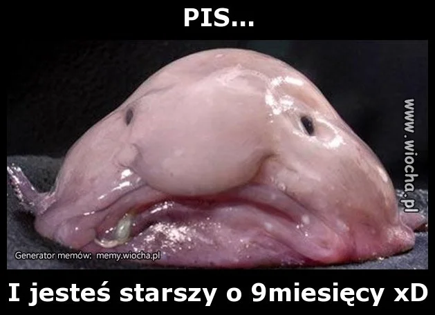 PIS...