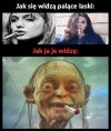 A ja widzę je tak 