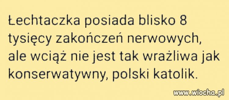 Wrażliwość vs  zakończenia nerwowe