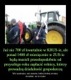 Wydymani po całości