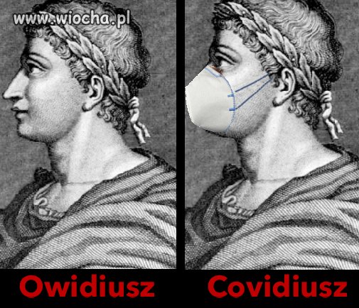 Owidiusz