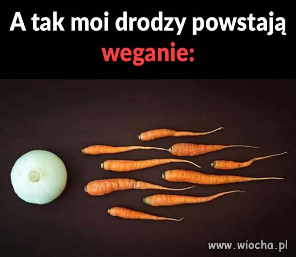 Jak rozmnażają się weganie 