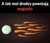 Jak rozmnażają się weganie 
