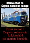 Jaka polityka ? Taki dziki zachód 