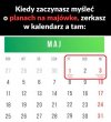 Najkrótszy łykend 