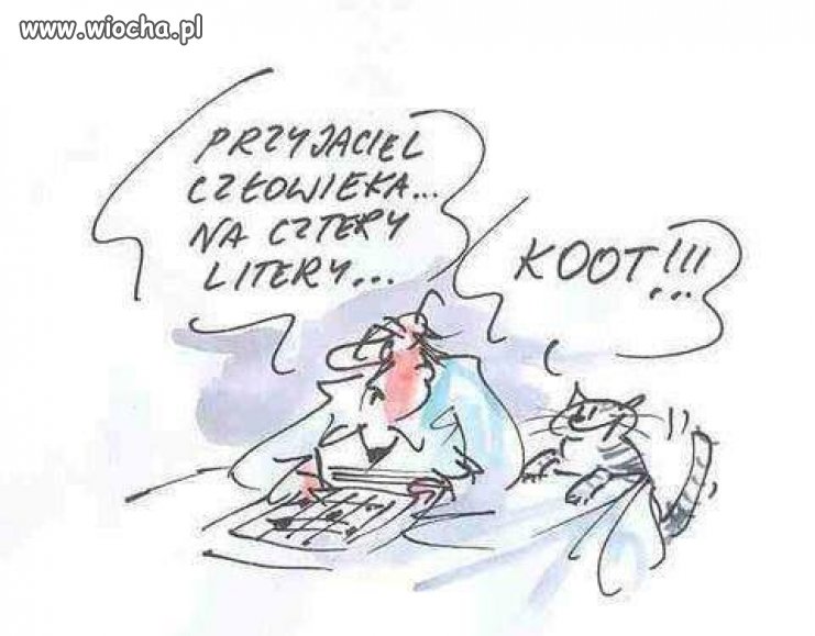 Krzyżówka...