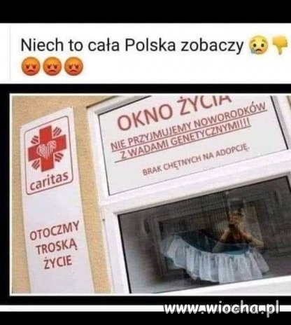 Pisowskie okno życia 