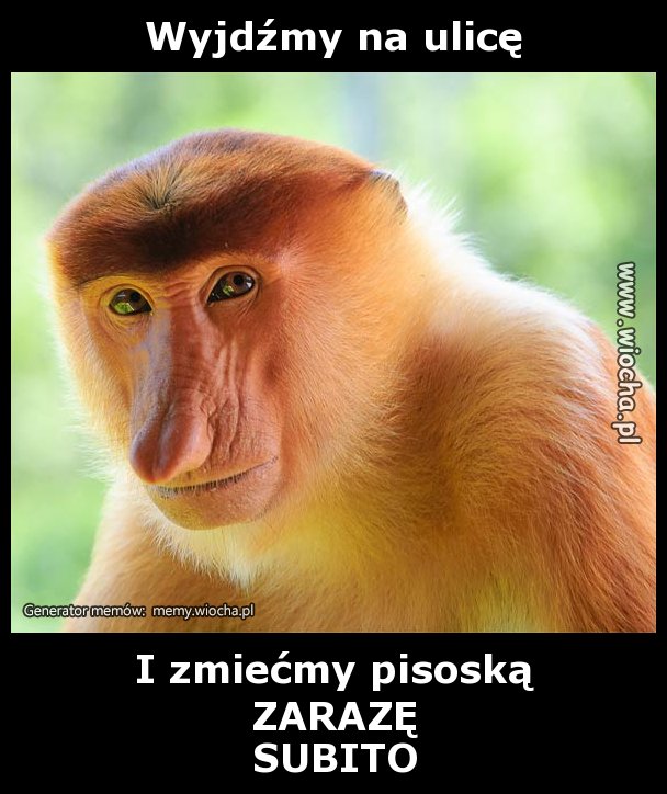 Wyjdźmy na ulicę