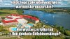 Ach, te basałyki z PIS-u