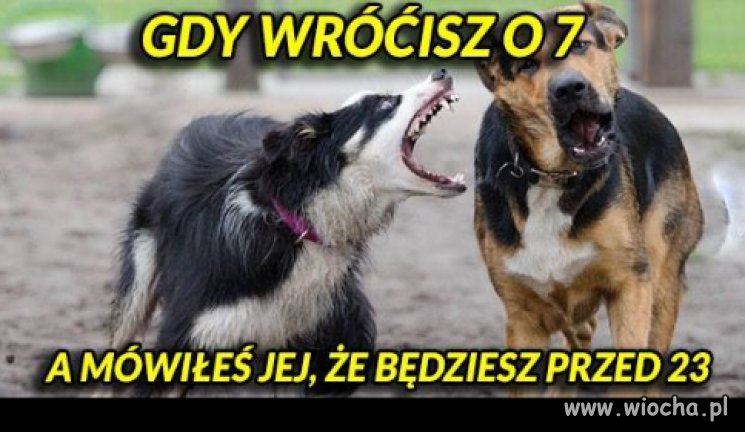 Jak to w małżeństwie 