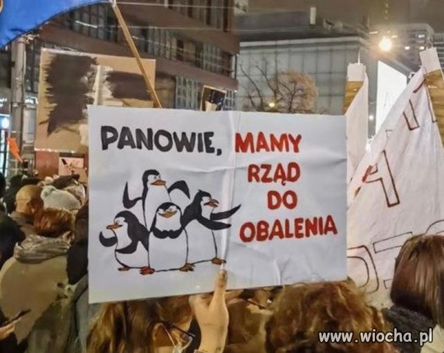 Tytuł zbędny