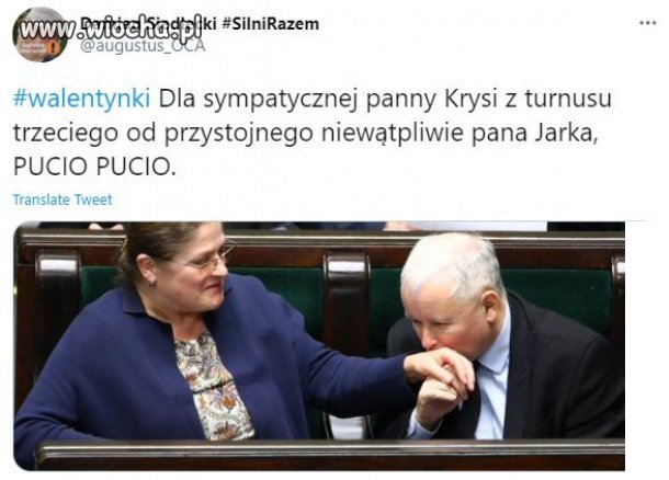 Kryśka, lovciam cię