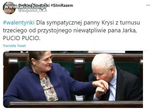 Kryśka, lovciam cię