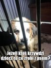 Retoryczne pytanie