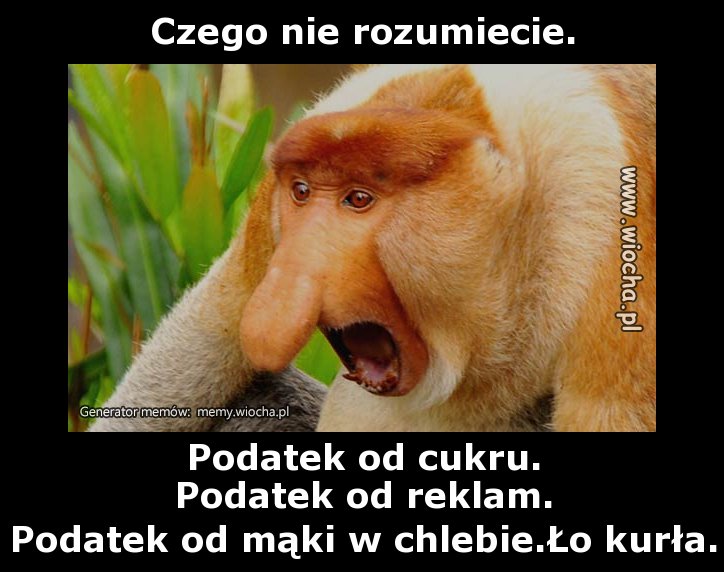 Czego nie rozumiecie.
