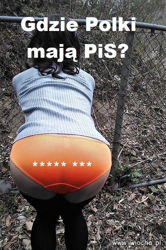 Bez tytułu.