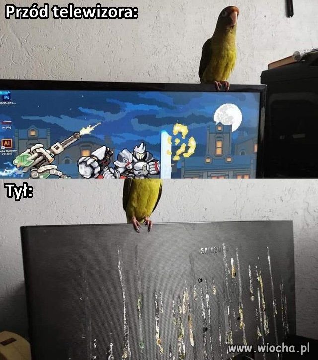 Heheszki