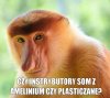Z czego som instrybutory?