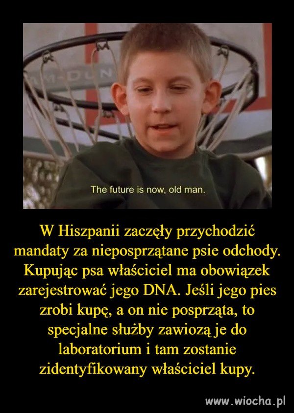 Jeśli to prawda to chcę tego w Polsce  