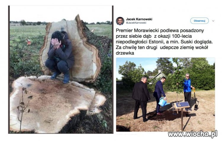 Po to ścieli, żeby Suski przed kamerami mógł udeptać