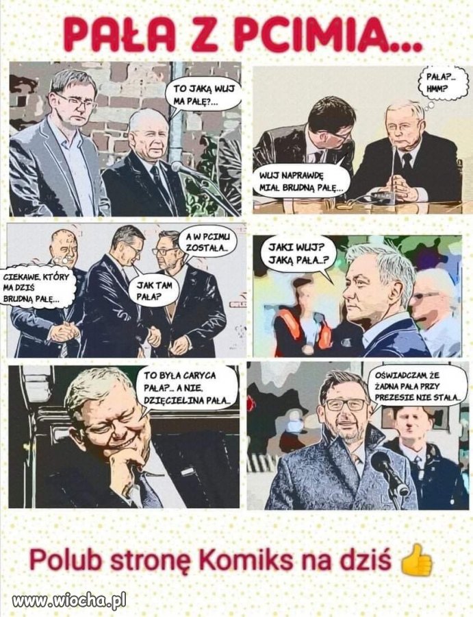 Pała z Pcimia