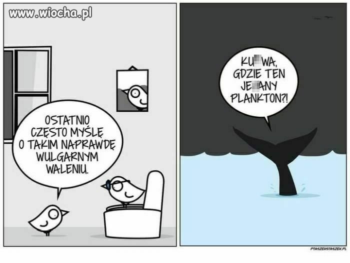 Bez polityki