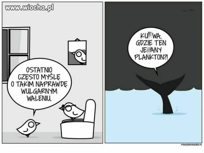 Bez polityki