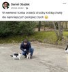 Tak się dba o względy prezesa