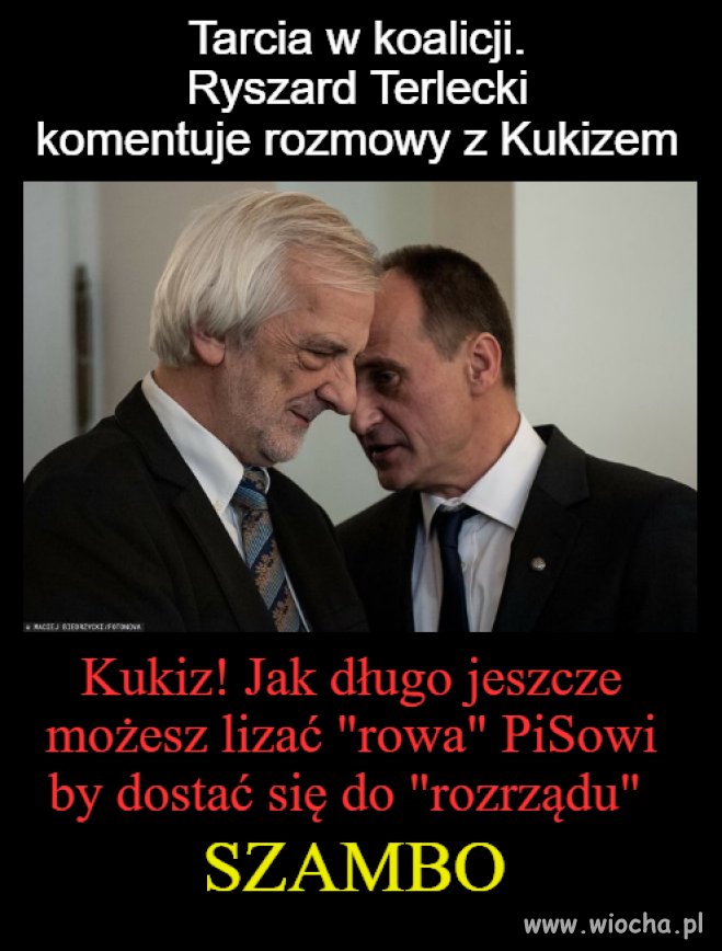 Kukiz bez wazeliny 