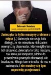 Złote myśli...