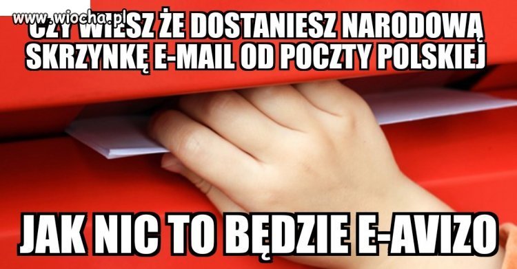 Kolejny genialny pomysł pisowskich debili