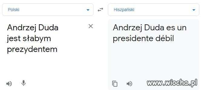 Google Tłumacz 