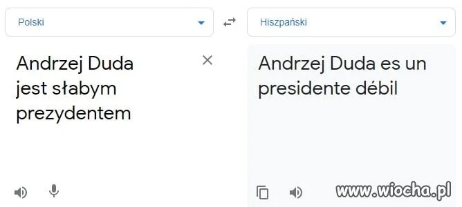 Google Tłumacz 