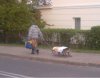 Zimo ! A kysz